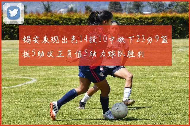 锡安表现出色14投10中砍下23分9篮板5助攻正负值5助力球队胜利