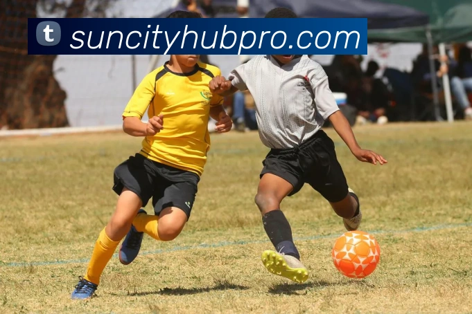 太阳城服务体系